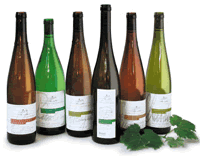 Zellerer BioDelicatessen Weiswein Isegrimhof